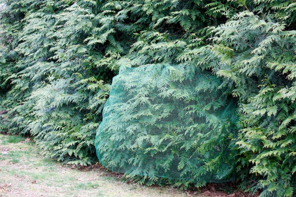 Deer-Terrent Arborvitae Netting Wrap - Protects Trees Up To 10' Tall