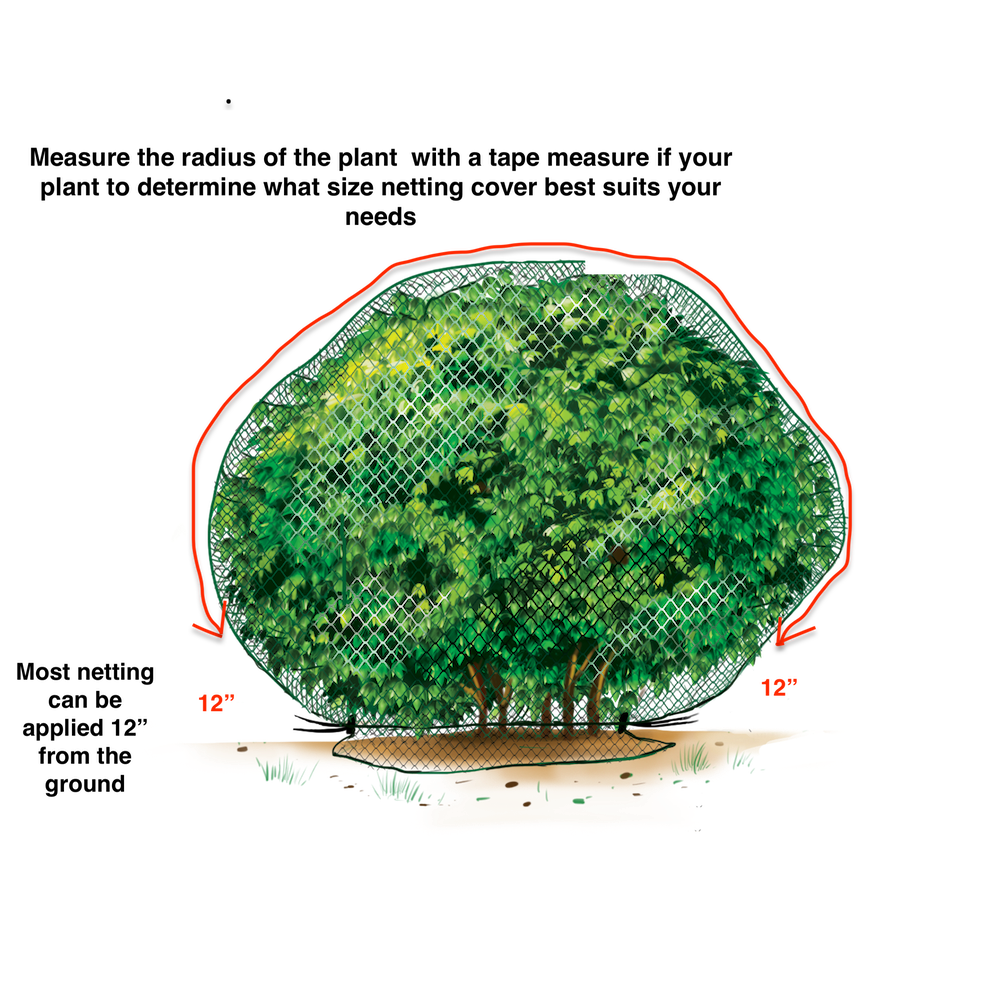 Plant Netting Cover
