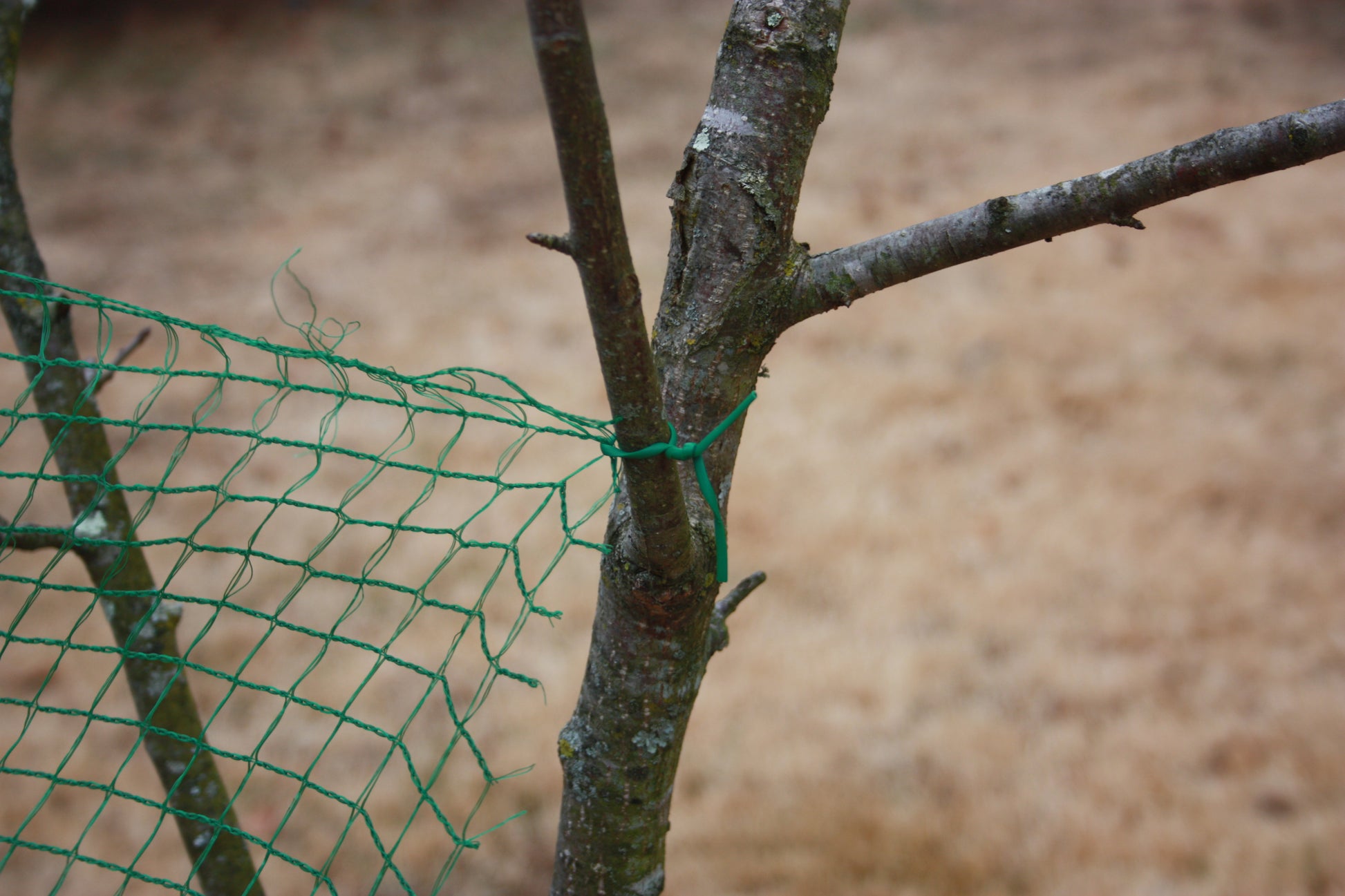 Deer-Terrent Netting Rolls