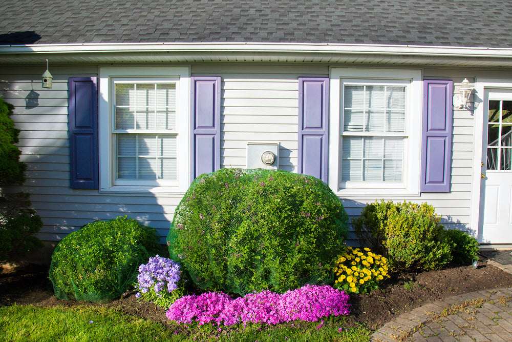 Deer-Terrent Large Netting Cover - Ideal Protection for Shrubs 4.5'-5.0