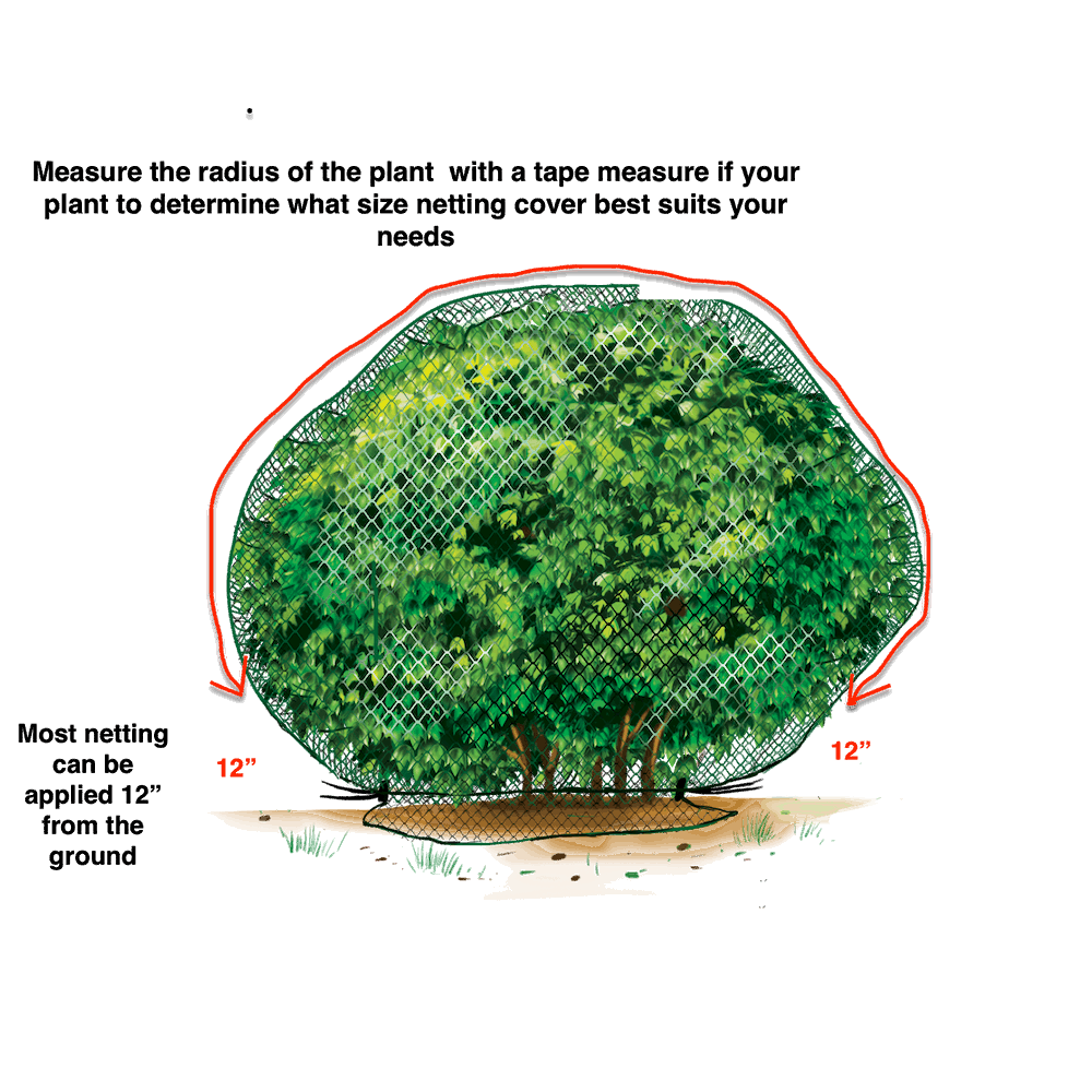 Large Plant Netting Cover