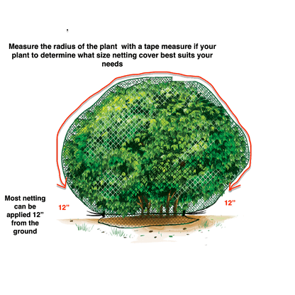 Plant Netting Cover