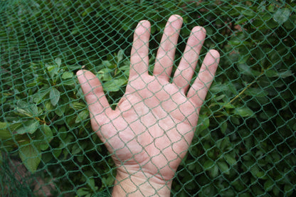 Plant Netting Cover