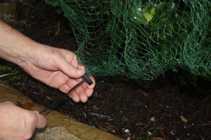 Plant Netting Cover