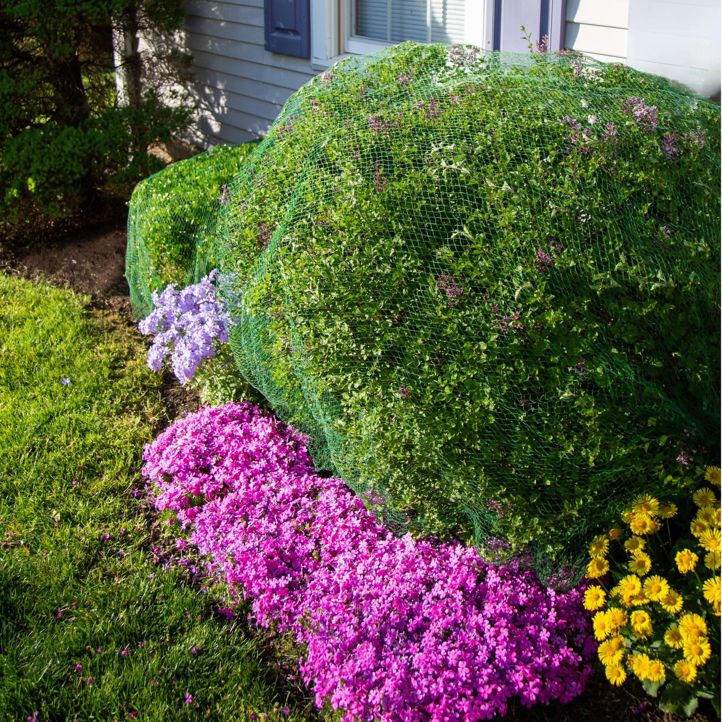 Deer-Terrent Plant Netting Cover- Medium 8' X 8' For Plants Up To 3.5'-4.0' High. Free Shipping When Ordering More Than 1 Product.