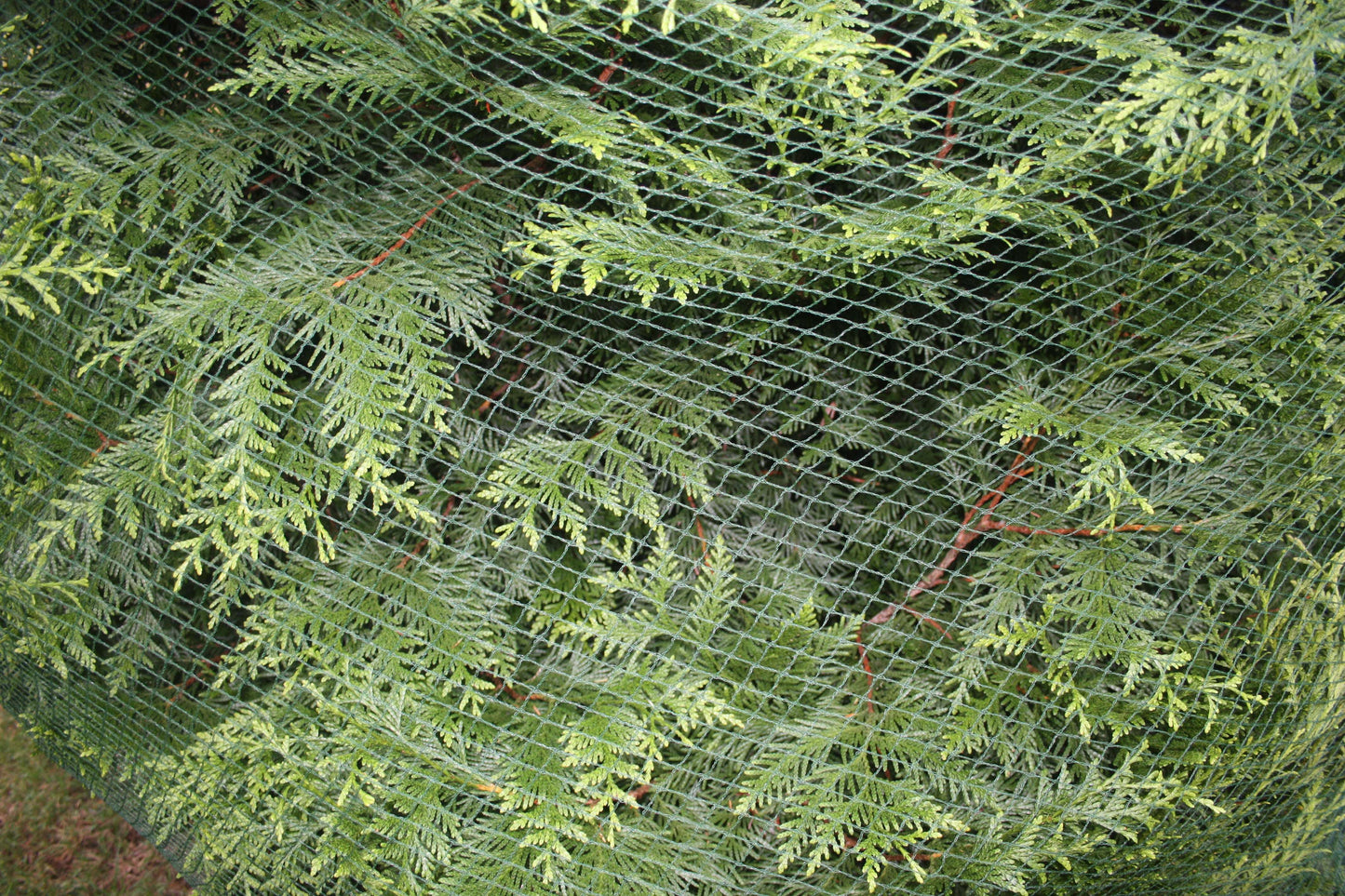 Landscaping Netting Rolls