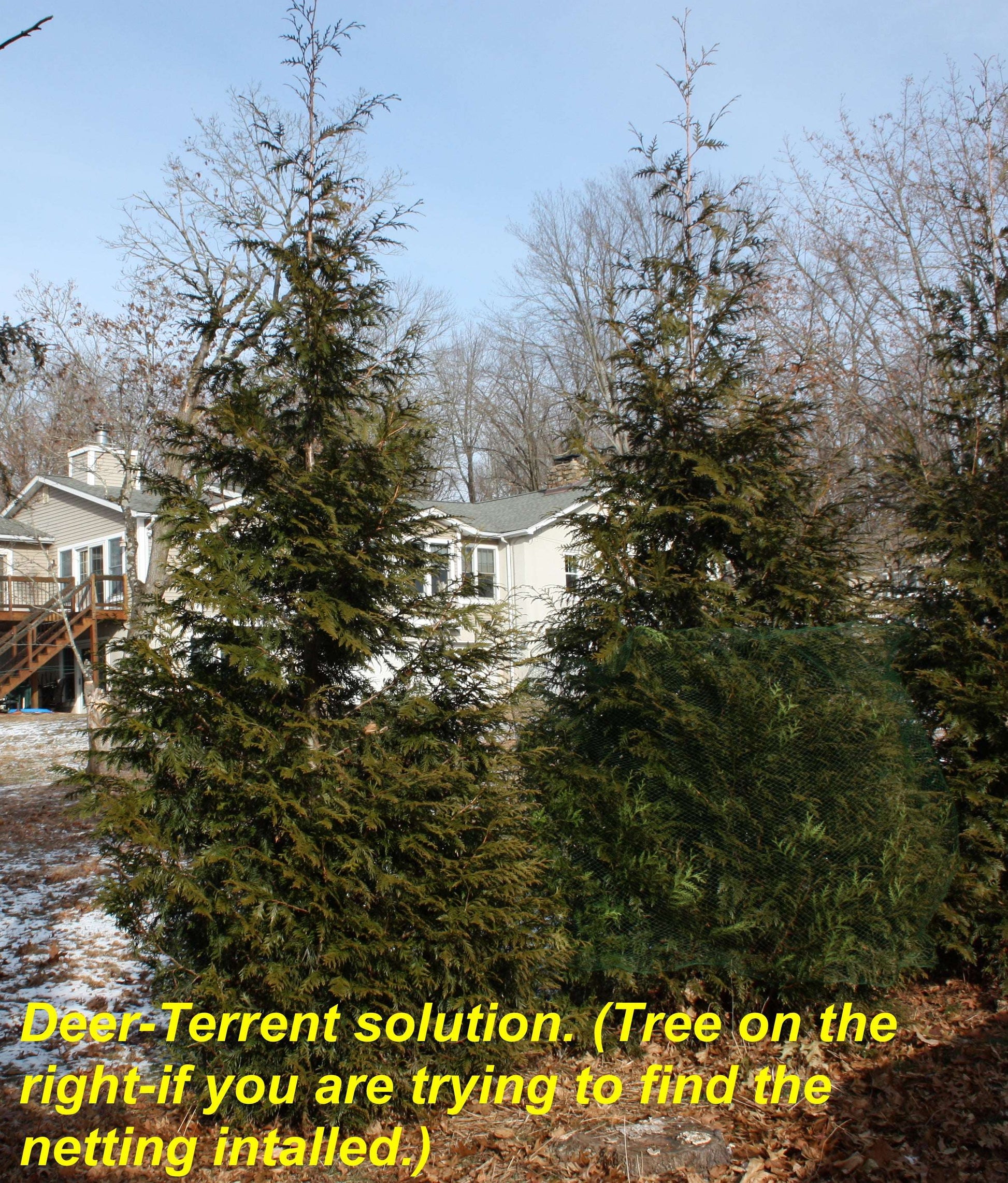 Landscaping Netting Rolls