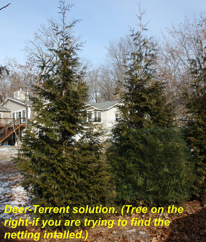 Landscaping Netting Rolls