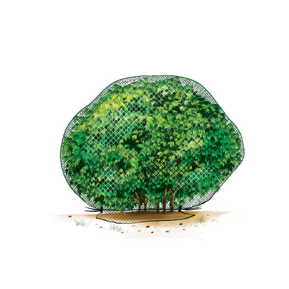 Deer-Terrent Netting Cover - Large Size for Plants Up To 5 Feet High