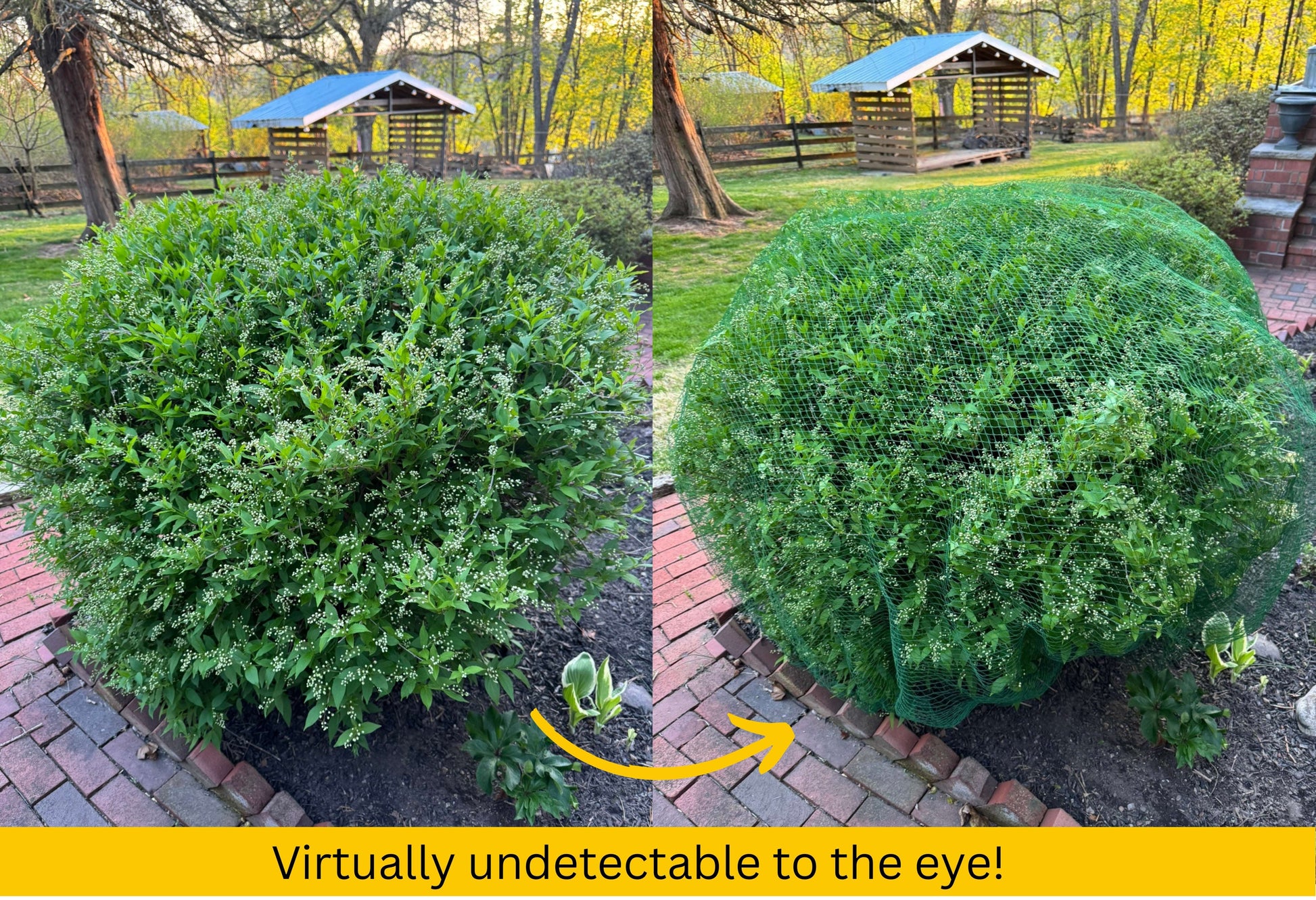 Deer-Terrent Plant Netting Cover- Medium 8' X 8' For Plants Up To 3.5'-4.0' High. Free Shipping When Ordering More Than 1 Product.