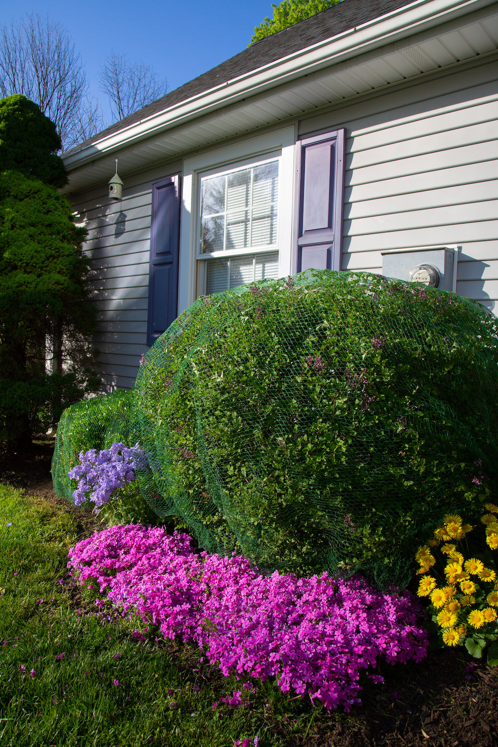 Medium Plant Netting Cover