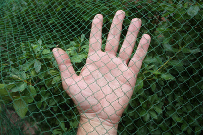 Large Plant Netting Cover