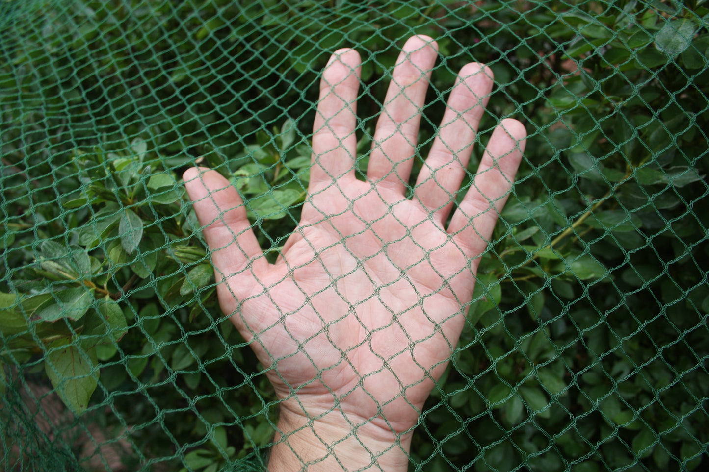 Medium Plant Netting Cover