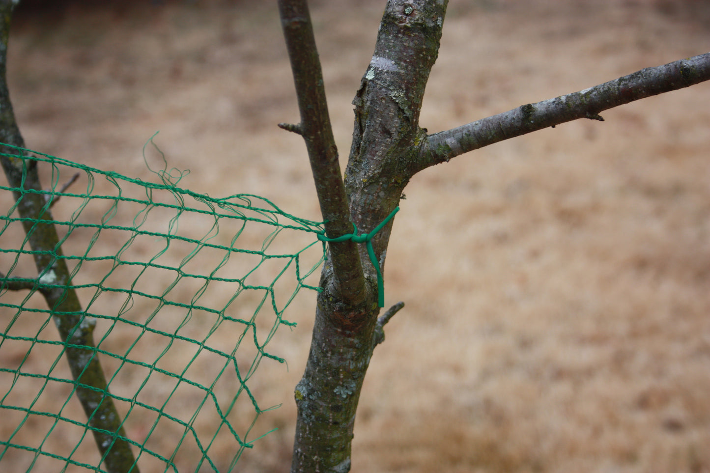 Deer-Terrent Netting Rolls 